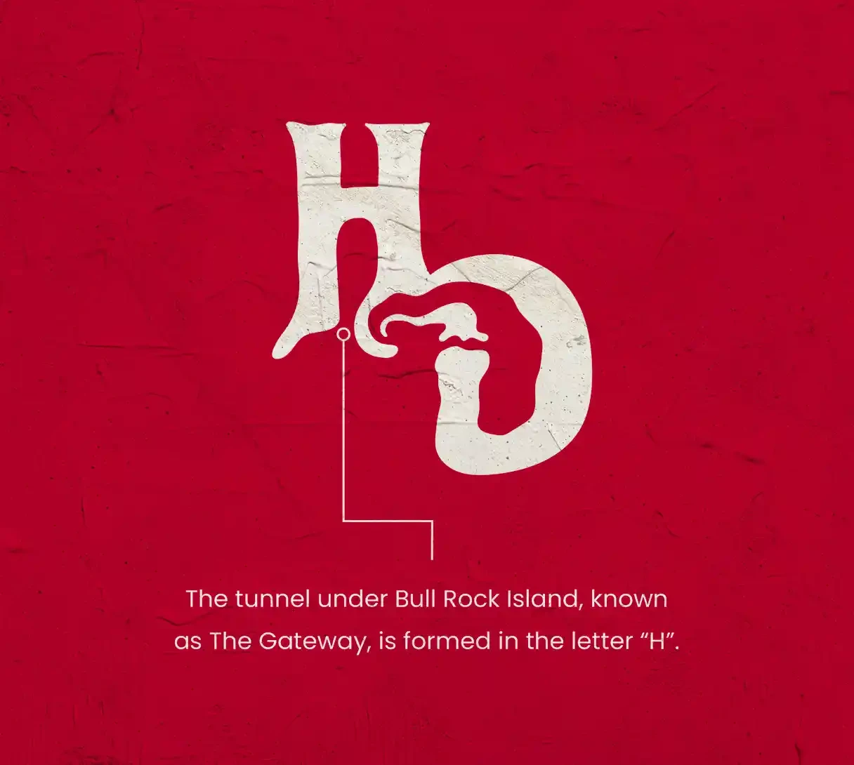 House of Donn HD logo breakdown